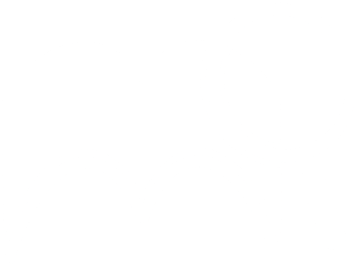 themarginaliaclue.com